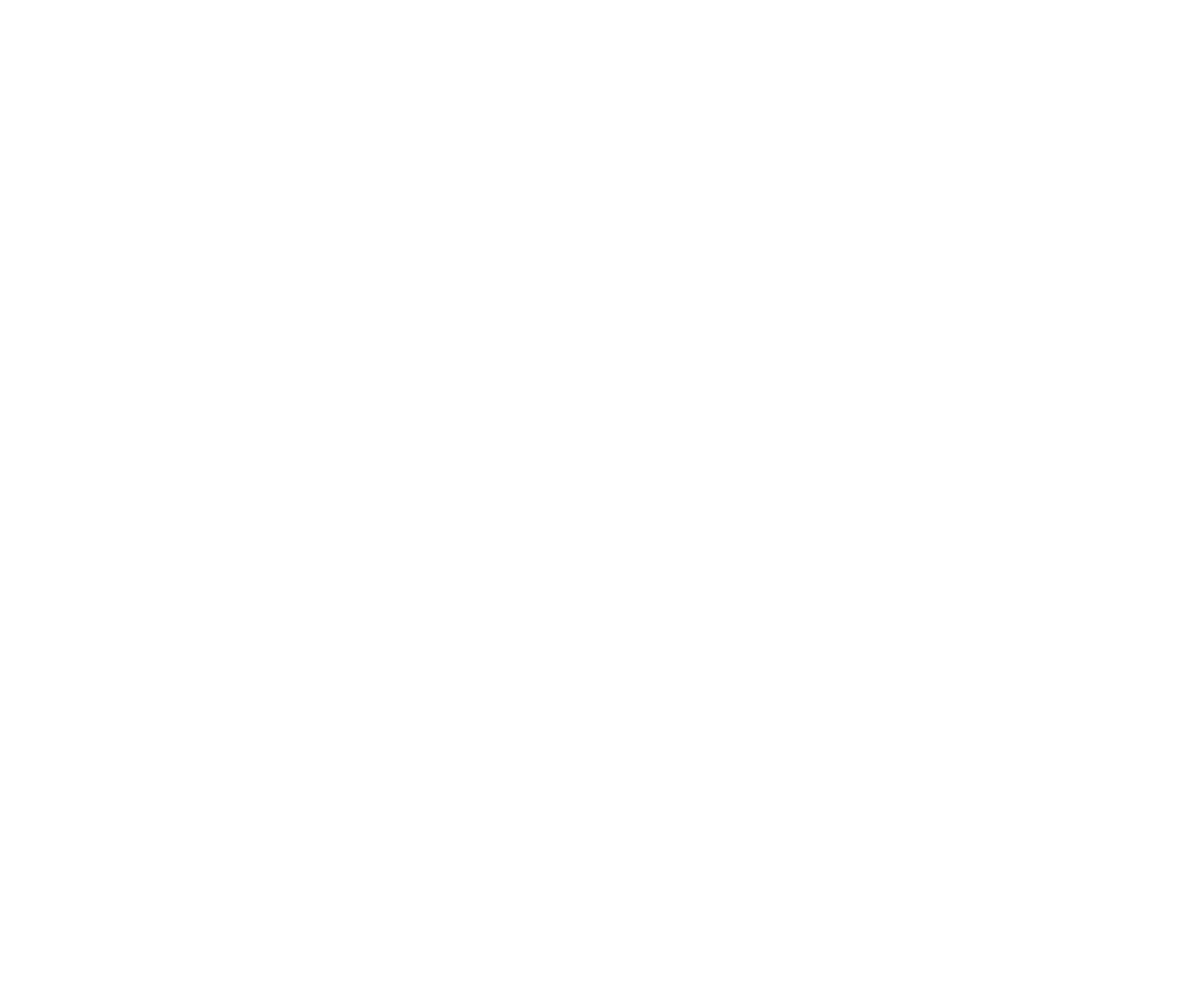 SKN Systems Finns Logo